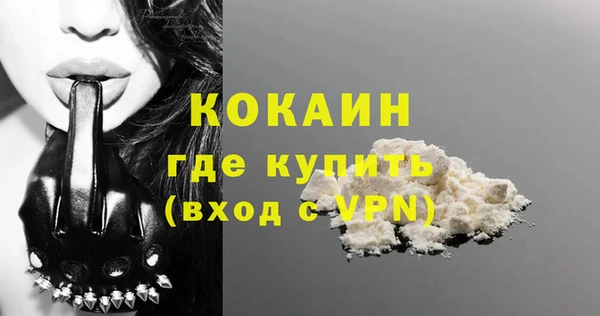 крисы Верея