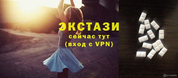 дмт Рославль