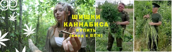 крисы Верея